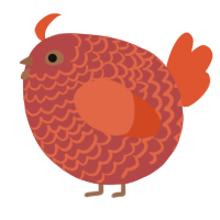 A red and vermilion chicken with a lace pattern