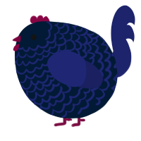 A tumblr and navy chicken with a lace pattern