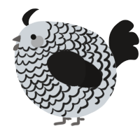 A mist and sable chicken with a lace pattern