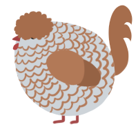 A mist and brown chicken with a lace pattern