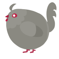 A ash chicken with a head pattern