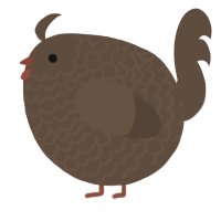 A bark chicken with a lace pattern
