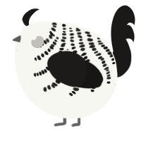 A white and sable chicken with a half-bar pattern