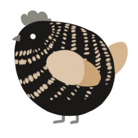 A sable and beige chicken with a bar pattern