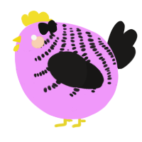 A lavender and sable chicken with a half-bar pattern