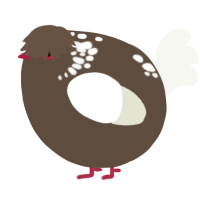 A bark and white chicken with a neck-speckle pattern