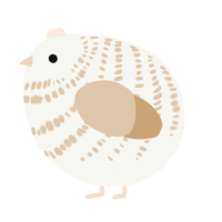 A white and beige chicken with a bar pattern