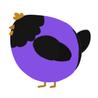A blurple and black chicken with a head pattern