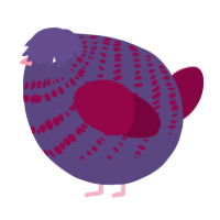 A overcast and maroon chicken with a bar pattern