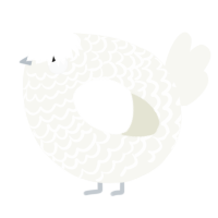 A white chicken with a lace pattern
