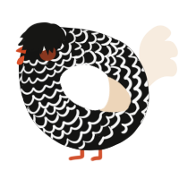 A black and cream chicken with a lace pattern