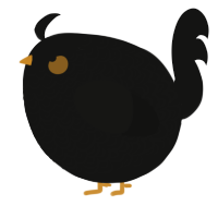 A black chicken with a double-lace pattern