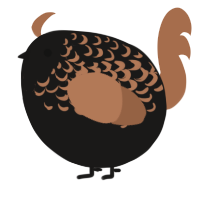A sable and brown chicken with a half-lace pattern