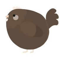 A bark chicken with a head pattern