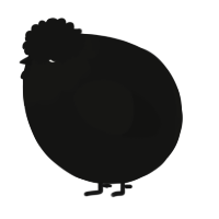 A black chicken with a head pattern