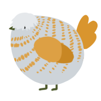 A mist and orange chicken with a bar pattern