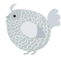 A silver and mist chicken with a lace pattern