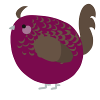 A wine and bark chicken with a half-lace pattern