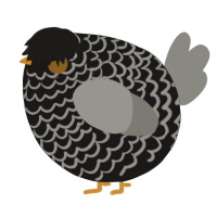 A sable and ash chicken with a lace pattern