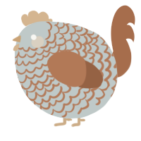 A silver and brown chicken with a lace pattern