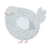 A silver and mist chicken with a lace pattern