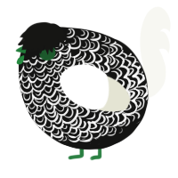A black and white chicken with a double-lace pattern