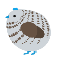 A mist and bark chicken with a bar pattern