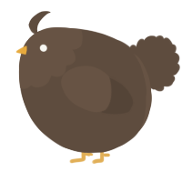 A bark chicken with a head pattern