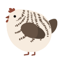 A cream and bark chicken with a half-bar pattern