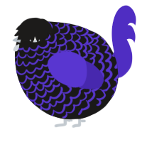 A sable and indigo chicken with a lace pattern