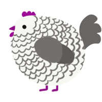 A white and grey chicken with a lace pattern
