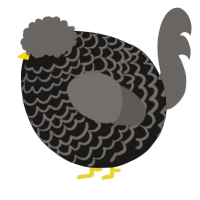 A sable and grey chicken with a lace pattern