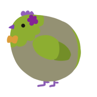 A ash and chartreuse chicken with a head pattern