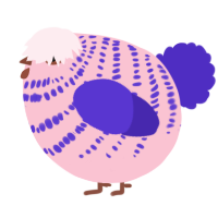 A rose and indigo chicken with a bar pattern