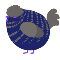 A navy and grey chicken with a bar pattern