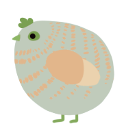 A russet and sapphire chicken with a bar pattern