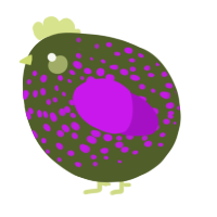 A olive and amethyst chicken with a speckle pattern