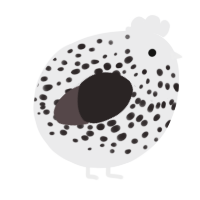 A black and silver chicken with a speckle pattern