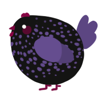 A black and overcast chicken with a speckle pattern