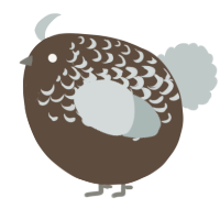 A bark and silver chicken with a half-lace pattern