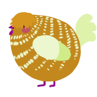 A ochre and apple chicken with a bar pattern
