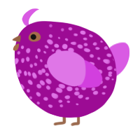 A plum and orchid chicken with a speckle pattern