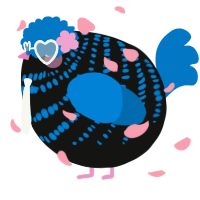 A black and sapphire chicken with a bar pattern