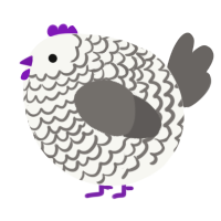 A white and grey chicken with a lace pattern