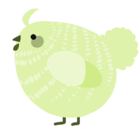 A apple chicken with a bar pattern