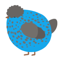 A sky and grey chicken with a speckle pattern