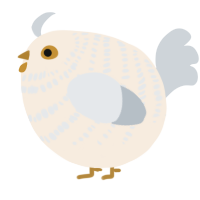 A cream and mist chicken with a bar pattern