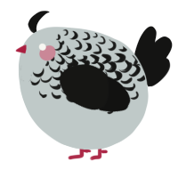 A silver and black chicken with a half-lace pattern