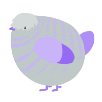 A silver and lilac chicken with a bar pattern