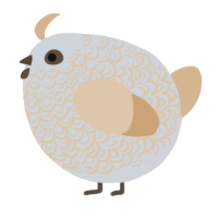 A mist and beige chicken with a double-lace pattern
